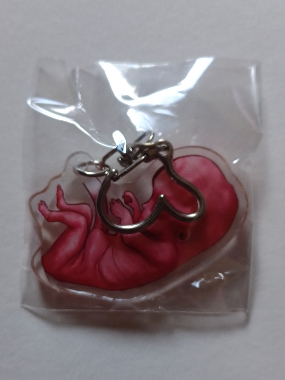 Double-sided Acrylic Fetus Keychain With Heart Clasp - Picture 5 of 5